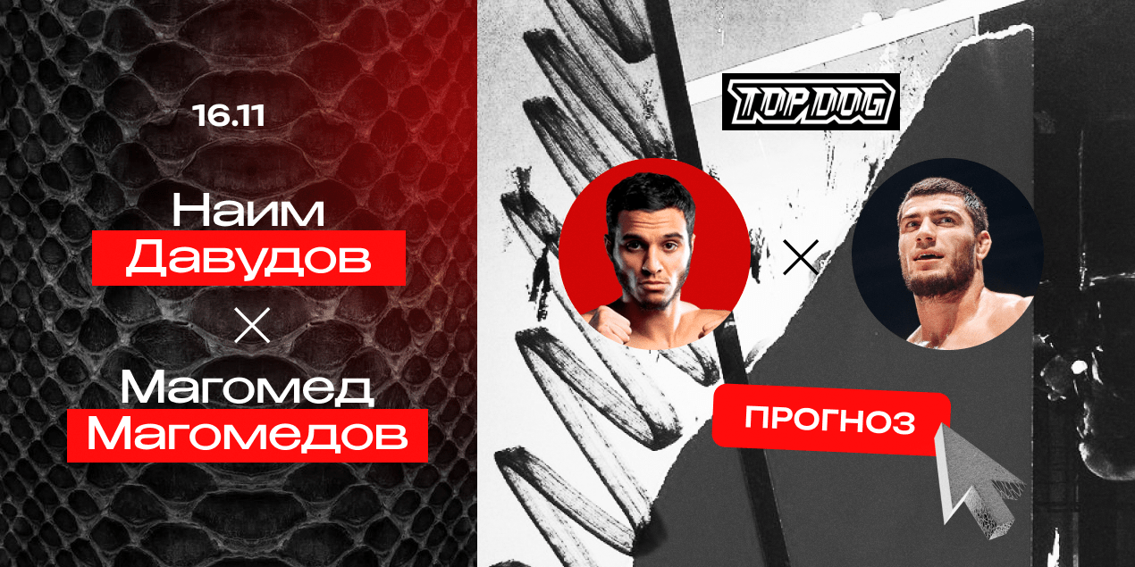 Прогноз на бой Наим Давудов — Магомед Магомедов: никакого нокаута не будет