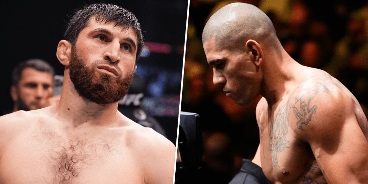 Главный бой UFC 313: Перейра предложил Анкалеву поставить на свою победу