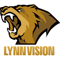 Lynn Vision