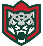 Ак Барс